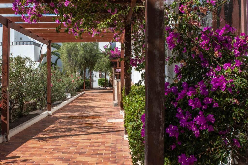 The Colors House Apartment Costa Teguise Exterior foto